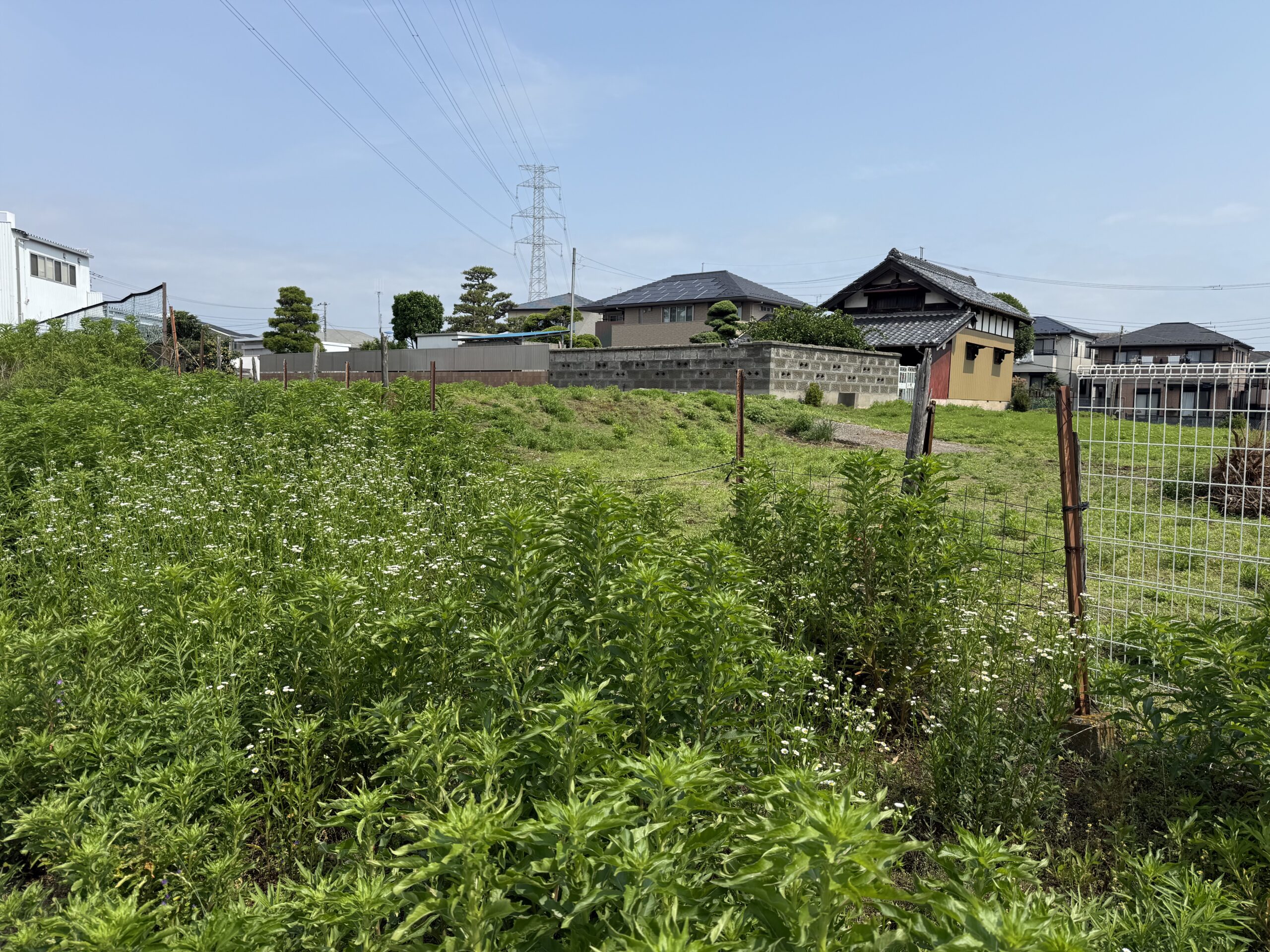 施工前 — 柏市駐車場工事